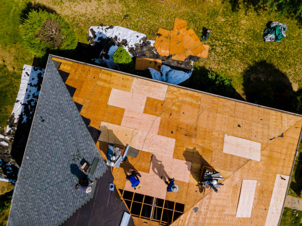 Best Roof Gutter Cleaning  in Wilsonville, AL
